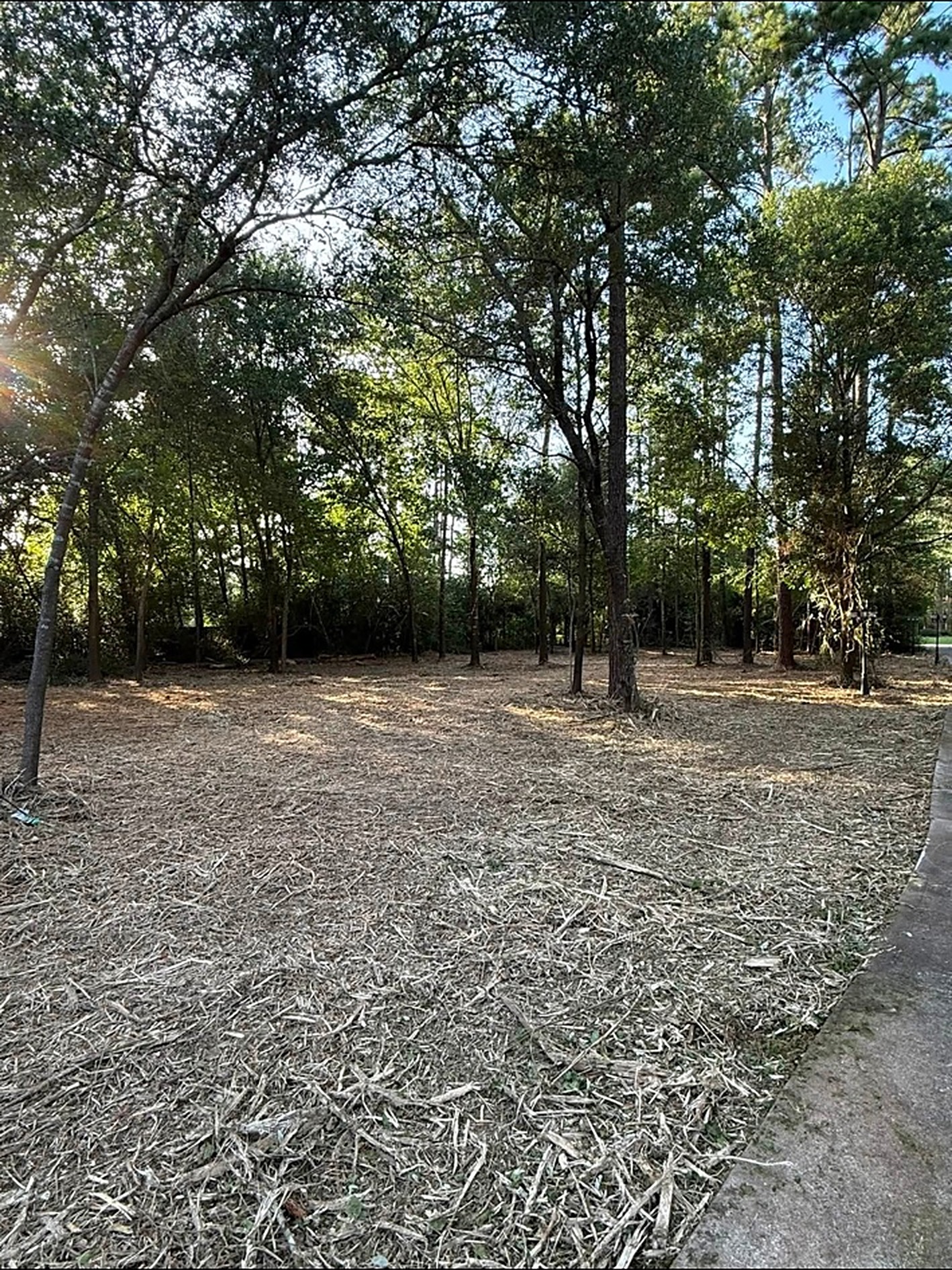 Land Clearing in Sealy TX by Prestige Land Services