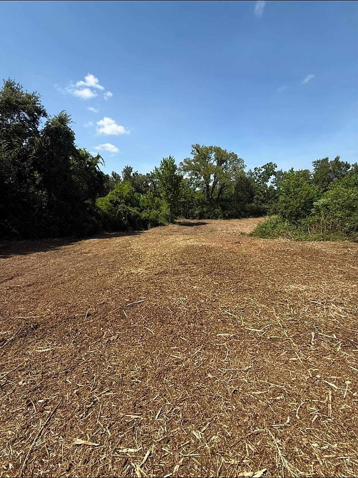 Forestry Mulching in Sealy TX by Prestige Land Services