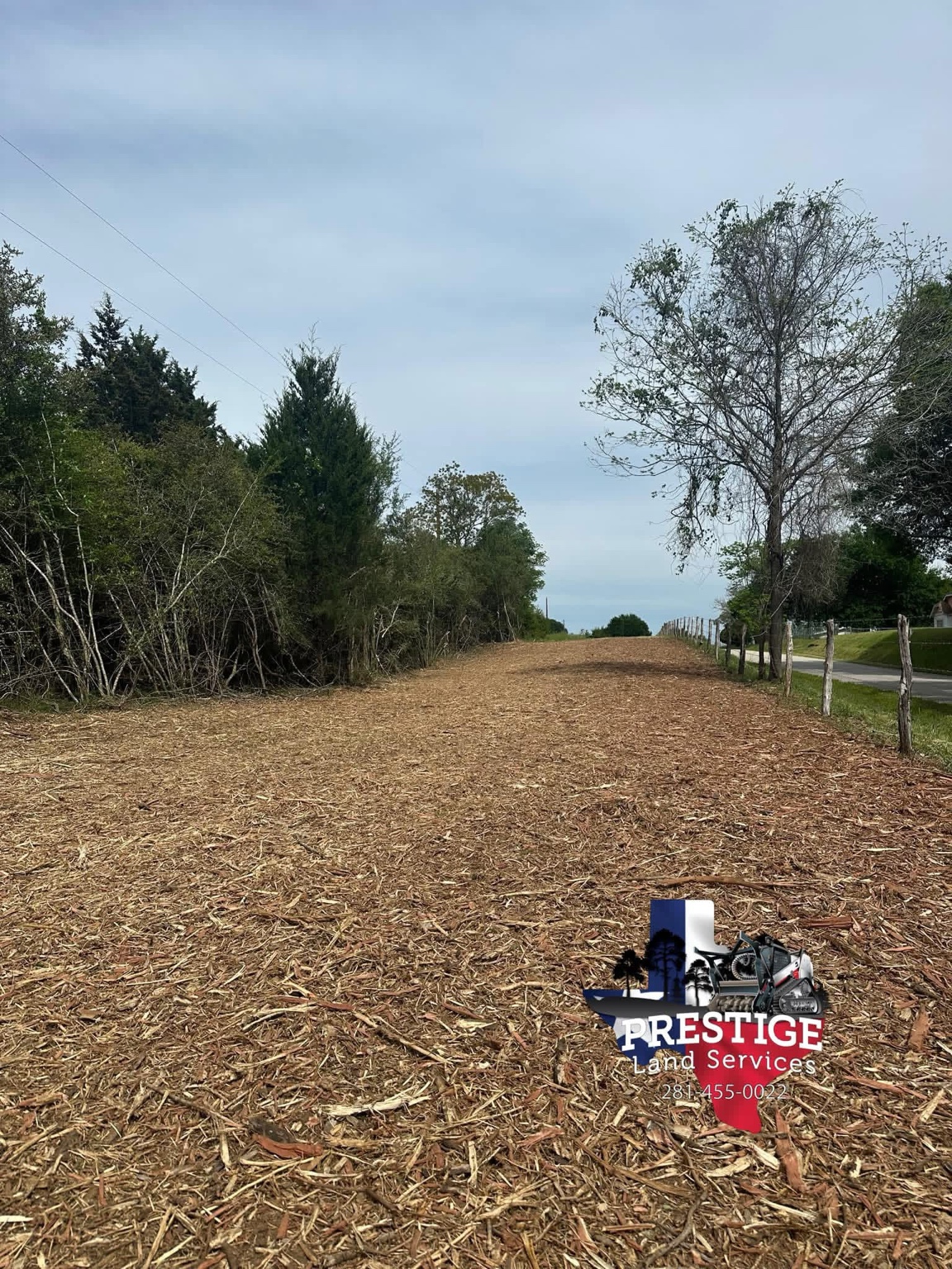 Fence Line Clearing in Sealy TX by Prestige Land Services
