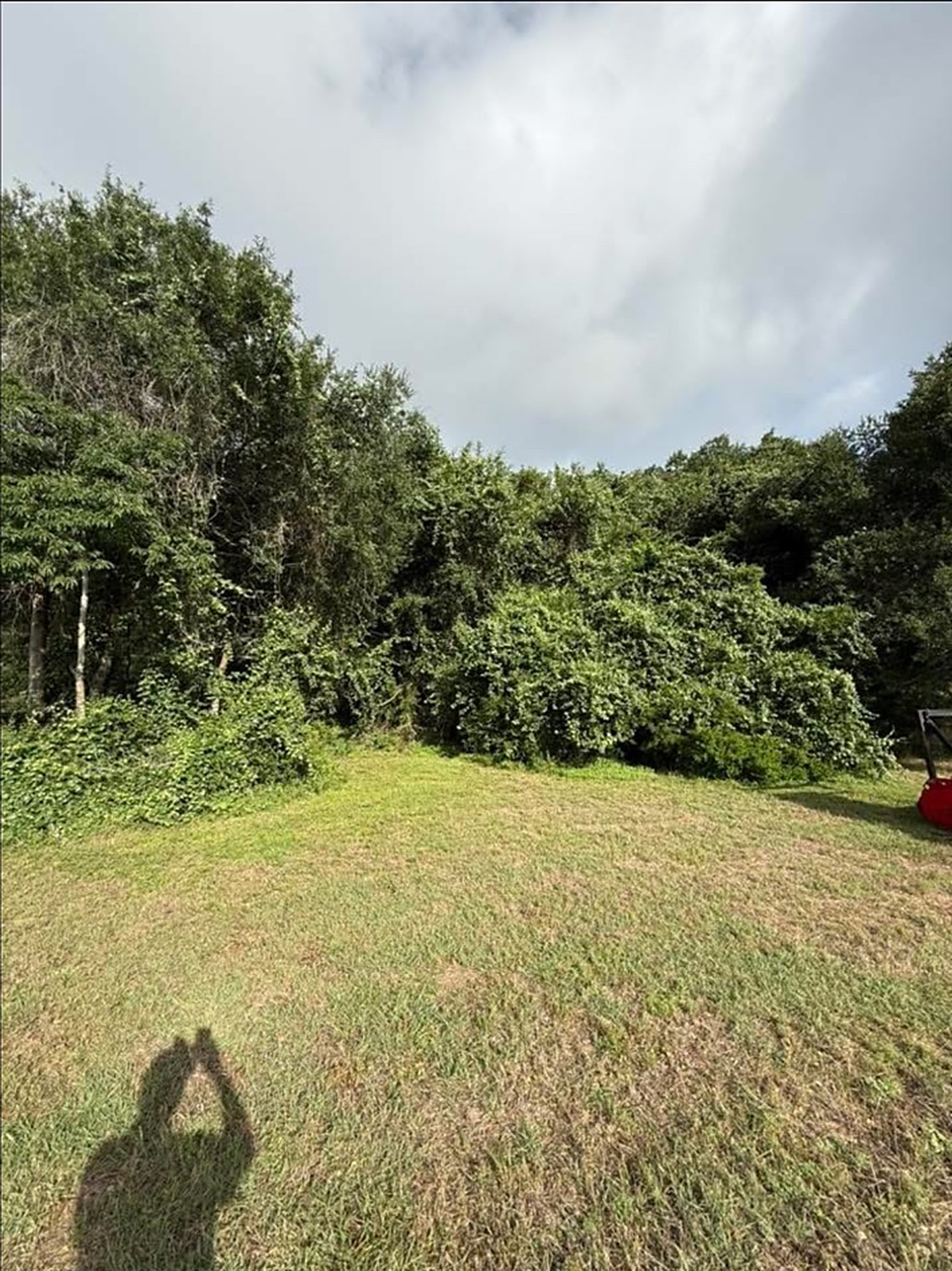Brush Clearing in Sealy TX by Prestige Land Services