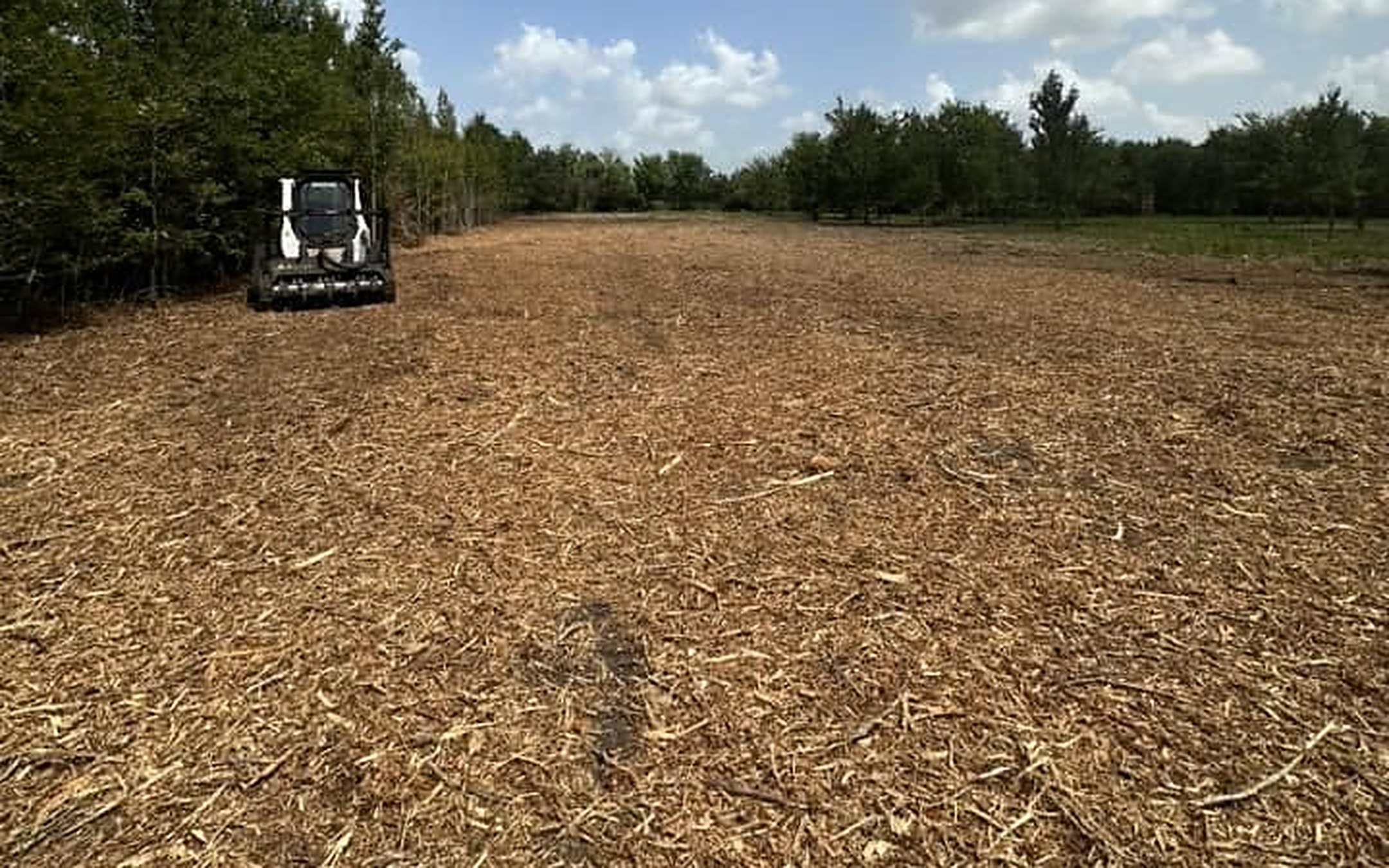 Forestry Mulching in Sealy TX by Prestige Land Services