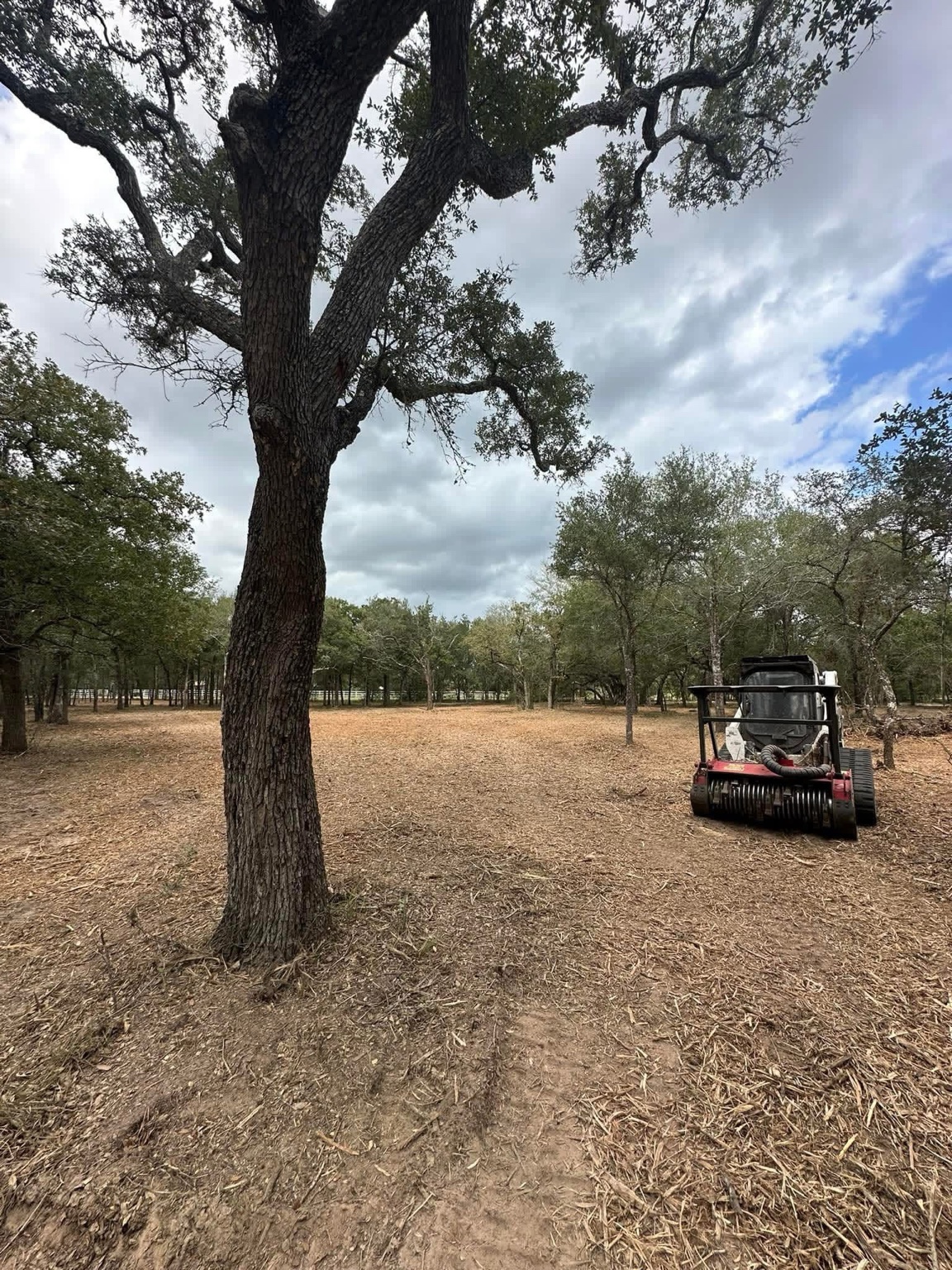 Underbrush Removal in Sealy TX by Prestige Land Services