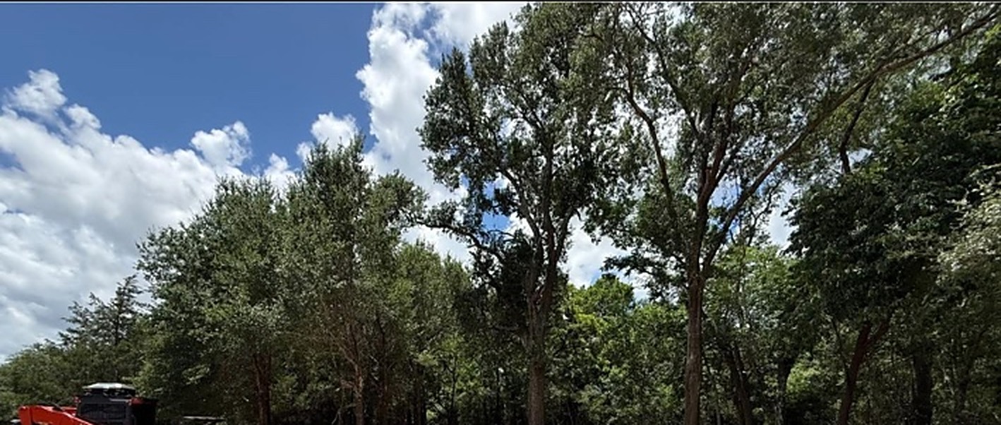 Overgrown Acreage Cleared after